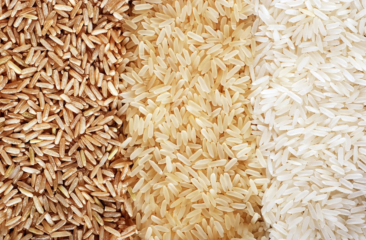 White Rice vs. Brown Rice: Does It Actually Matter?